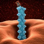 Lenti macro, 100 mm, dettagli elevati, illuminazione controllata, una rappresentazione artistica di una molecola di proteina PTPRD con un segmento mancante, che simboleggia la carenza, sullo sfondo della proteina tau iperfosforilata all'interno di un neurone stilizzato, trasmettendo il tema centrale della ricerca sulla patologia PTPRD e TAU.