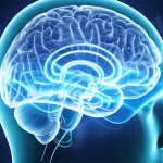 Un'immagine altamente realistica di un cervello umano stilizzato con pattern di onde EEG luminose che ne evidenziano l'attività, sovrapposto a grafici di dati scientifici. Lente prime, 35mm, con un effetto duotone blu e argento, profondità di campo per mettere a fuoco il cervello.