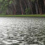 A wide-angle 24mm landscape photograph of a subtropical lake during a rain shower, showing ripples on the water surface and slightly blurred trees on the shore, capturing the dynamic interaction between rainfall and the aquatic environment.