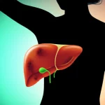 Immagine concettuale di una silhouette umana con un fegato evidenziato, metà del quale appare sano e l'altra metà mostra segni di steatosi. L'immagine simboleggia il contrasto tra NAFLD magra e non magra. Obiettivo prime, 50mm, profondità di campo, con un sottile effetto duotone (es. verde acqua e arancione) per differenziare i due stati, illuminazione da studio per chiarezza.