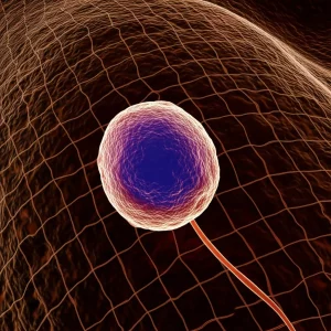 Immagine concettuale fotorealistica che mostra filamenti energetici (rappresentanti la glicolisi) fluire da una cellula ospite stilizzata verso un parassita Neospora caninum ingrandito. Sfondo scuro per enfatizzare il flusso di energia. Lente macro 85mm, illuminazione drammatica, alta definizione.