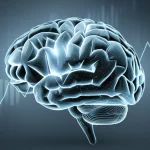 Immagine concettuale del paradosso dei lipidi: un cervello stilizzato con aree luminose che indicano attività, sovrapposto a grafici di livelli lipidici che mostrano andamenti inaspettati. Utilizzare un obiettivo prime da 50mm con profondità di campo per mettere a fuoco il cervello e sfocare leggermente i grafici, colori duotone freddi come blu e grigio per un'atmosfera scientifica.