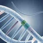 Immagine concettuale, prime lens 35mm, depth of field, duotone blu e grigio, che mostra un filamento di DNA con segmenti colorati diversamente a rappresentare esoni ed introni, con un nematode C. elegans stilizzato in trasparenza sullo sfondo, a simboleggiare lo studio sugli introni e l'espressione genica.