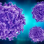 Immagine concettuale fotorealistica che mostra molecole dell'enzima L-asparaginasi (rappresentate come strutture proteiche complesse) che interagiscono con cellule cancerose stilizzate in un ambiente di laboratorio. L'illuminazione è controllata, con possibili duotoni blu e viola per suggerire un contesto scientifico/medico, alta definizione dei dettagli molecolari e cellulari.