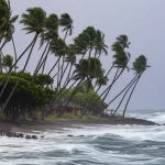 Immagine fotorealistica di un'onda di piena che si avvicina a un villaggio costiero delle Fiji, con palme piegate dal vento e cielo tempestoso, obiettivo teleobiettivo zoom 200mm, alta velocità dell'otturatore per catturare il movimento dell'acqua, illuminazione drammatica.