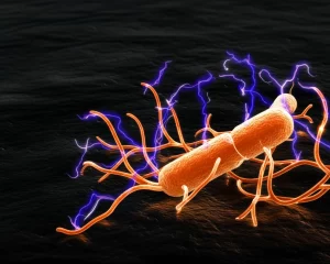 Primo piano fotorealistico di batteri Geobacter sulfurreducens su un elettrodo scuro, con scie luminose stilizzate che rappresentano il flusso di elettroni disaccoppiato verso il citocromo CbcBA (leggermente evidenziato). Lente macro 85mm, alta definizione, illuminazione drammatica laterale per enfatizzare il concetto di gestione energetica sotto stress e dissipazione.
