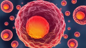 Immagine concettuale fotorealistica della PANoptosi in cellule di carcinoma polmonare squamoso. Visualizzazione 3D di cellule tumorali, alcune delle quali mostrano i segni distintivi della PANoptosi (elementi di apoptosi, piroptosi e necroptosi combinati, come frammentazione del DNA e membrane cellulari integre ma "bollenti"). Utilizzare un obiettivo prime da 35mm per un effetto leggermente grandangolare ma con profondità di campo. Illuminazione drammatica, con toni blu scuro e accenti arancioni/rossi per simboleggiare la morte cellulare e l'infiammazione. Dettagli elevati sulle strutture cellulari.