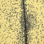 Macro fotografia di cisti di Acanthamoeba su una piastra di Petri, con nanoparticelle magnetiche visibili che aderiscono alle cisti. Luce da laboratorio controllata, alta definizione, obiettivo macro 100mm.