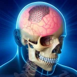 Visualizzazione 3D di un cranio umano con un impianto di cranioplastica in titanio mesh perfettamente integrato nell'area di un difetto osseo. Sullo sfondo, un'immagine astratta e luminosa che rappresenta il miglioramento del flusso sanguigno cerebrale. Dettaglio elevato, illuminazione da studio, lente macro 100mm.
