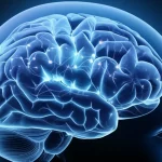 Visualizzazione artistica ma fotorealistica del cervello umano con reti neurali luminose e un focus su aggregati proteici tau fosforilati (pT217), obiettivo grandangolare 24mm, profondità di campo, che simboleggia la ricerca sull'interactoma nell'Alzheimer.