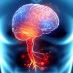 Conceptual image showing a brain connected to a stylized gut, with stress signals affecting intestinal cells, wide-angle lens, sharp focus.