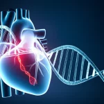 Immagine concettuale di un cuore umano stilizzato con all'interno filamenti di DNA luminosi che rappresentano le mutazioni genetiche CHIP, su uno sfondo scuro che simboleggia l'incertezza della prognosi. Obiettivo prime 35mm, profondità di campo per mettere a fuoco il cuore e i filamenti di DNA, duotone blu e rosso per un effetto scientifico e drammatico.