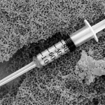 Immagine al microscopio elettronico ad altissima risoluzione di cellule batteriche Neisseria, con un focus dettagliato su una struttura T6SS simile a una siringa che sporge dalla membrana cellulare. Obiettivo macro 105mm, illuminazione laterale controllata per evidenziare le texture, alta definizione, colori realistici con leggero contrasto aumentato, profondità di campo selettiva.