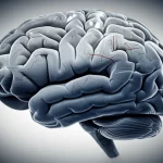 Photorealistic image of a brain silhouette subtly merging with a diagram representing metabolic pathways and gene interactions, wide-angle lens, 24mm, depth of field, duotone blue and grey.