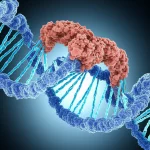 Immagine concettuale astratta della struttura della cromatina, con filamenti di DNA avvolti attorno a istoni, che si apre per rivelare regioni attive. Lente macro, 60mm, illuminazione drammatica per evidenziare la complessità, alta definizione.