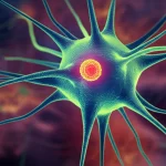 Visualizzazione artistica del corno dorsale del midollo spinale con neuroni (in blu) che rilasciano molecole S100A4 (sfere rosse brillanti) che interagiscono con astrociti reattivi (in giallo/verde, con morfologia attivata 'stellata'). Sullo sfondo, segnali infiammatori (sfumature arancioni/rosse) e simboli del dolore. L'immagine combina elementi scientifici con un'estetica accattivante. Prime lens, 35mm, Depth of field, illuminazione drammatica.