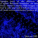 Immagine macro ad alta definizione di nanoparticelle d'argento fluorescenti sintetizzate con estratto di radice di Peonia, sospese in soluzione. Metà immagine mostra il colore bruno sotto luce visibile, l'altra metà la brillante fluorescenza blu sotto luce UV. Obiettivo macro 100mm, illuminazione controllata divisa, alta definizione.