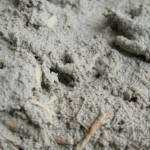 Close-up, macro lens, 60mm, of a freshly mixed bio-mortar sample with visible beige sisal fibers embedded within the wet grey cementitious matrix, high detail, precise focusing, controlled lighting, emphasizing the composite nature of the material.