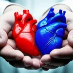 Un cuore anatomico stilizzato, metà rosso brillante (simbolo degli ACE-inibitori) e metà blu intenso (simbolo dei Sartani), sospeso sopra due mani che si stringono, rappresentando la collaborazione medico-paziente nella scelta terapeutica per il diabete e le malattie cardiovascolari. Obiettivo da ritratto 50mm, profondità di campo, illuminazione drammatica con toni duotone rosso e blu.