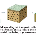 Visualizzazione concettuale dell'upscaling del trasporto colloidale: una piccola colonna di laboratorio a sinistra, una grande colonna di ghiaia indisturbata al centro (meso-scala), e un sito di campo con pozzi piezometrici a destra, rappresentando le diverse scale di studio. Stile fotografia scientifica, messa a fuoco nitida, illuminazione realistica.