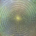 Macro lens, 70mm, high detail, precise focusing, controlled lighting, photorealistic image showing a microscopic view of a moiré grating pattern creating a structured light beam at its center.