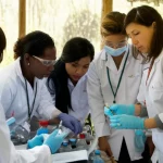 Un gruppo eterogeneo di scienziati e operatori, uomini e donne, collabora attivamente in un contesto di ricerca sul controllo vettoriale in Africa. Fotografia di reportage, obiettivo da 50mm, luce naturale filtrata, che cattura l'interazione e la diversità del team. Toni neutri con accenti di colore vivace dalle attrezzature.