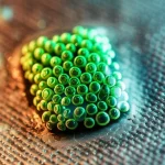 Immagine concettuale fotorealistica: Elettrocatalisi con nanocatalizzatori NiSe, macro lens 100mm, alta definizione, illuminazione controllata, mostra simultaneamente la degradazione di un colorante organico in acqua (cambio di colore da arancione a trasparente) e la produzione di bollicine di idrogeno verde su un elettrodo rivestito di nanoparticelle scure.