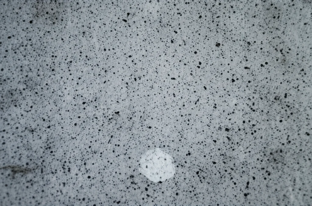 Lenti macro, 80 mm, colpo ravvicinata di consistenza in cemento con particelle di gomma briciole visibili e sottili accenni di colonie batteriche o formazioni di calcite, elevati dettagli, messa a fuoco precisa, illuminazione controllata, enfatizzando l'integrazione dei materiali.