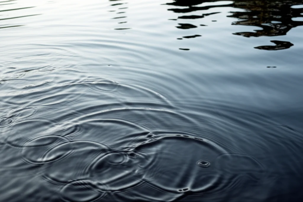A wide-angle 24mm photograph showing a lake surface with ripples from recent rain, contrasted with a still, calm section. The image captures the dynamic nature of the water level and mixing influenced by precipitation.