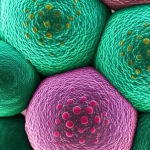 Visualizzazione 3D fotorealistica di un cluster di cellule embrionali di topo durante la gastrulazione, con diverse marcature epigenetiche (H3K27ac in verde brillante, H3K4me1 in rosso tenue) che evidenziano i destini cellulari divergenti. Lente macro 90mm, profondità di campo ridotta per focalizzare su un gruppo di cellule, illuminazione da microscopia confocale simulata.