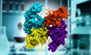 Visualizzazione 3D fotorealistica e altamente dettagliata di un costrutto vaccinale multi-epitopo per Ancylostoma duodenale, con epitopi T e B evidenziati in colori brillanti e distinti, legati da linker flessibili e un adiuvante molecolare complesso. Lo sfondo è un ambiente di laboratorio high-tech leggermente sfocato. Obiettivo macro da 100mm, illuminazione da studio controllata per massima nitidezza e dettaglio del costrutto proteico.