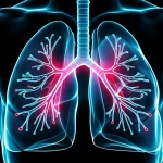 Immagine concettuale di polmoni umani sani e polmoni affetti da fibrosi, con evidenziazione di marcatori infiammatori (come molecole stilizzate) nel flusso sanguigno circostante. Utilizzare un obiettivo macro da 60mm per dettagli sui polmoni, con illuminazione controllata e un effetto duotone blu e rosso per distinguere il tessuto sano da quello fibrotico e i marcatori.