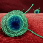 Visualizzazione microscopica artistica del parassita Toxoplasma gondii che invade cellule ospiti, con enfasi sull'enzima TgUAE1 come bersaglio molecolare. Obiettivo macro 90mm, illuminazione drammatica per evidenziare le interazioni, alta risoluzione.