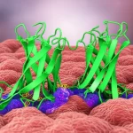 Immagine concettuale fotorealistica che illustra l'interazione tra la proteina NAG-1/GDF15 e EpCAM all'interno di una cellula di cancro colorettale, simboleggiando la soppressione tumorale. Macro lens, 85mm, high detail, precise focusing, controlled lighting.