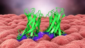 Immagine concettuale fotorealistica che illustra l'interazione tra la proteina NAG-1/GDF15 e EpCAM all'interno di una cellula di cancro colorettale, simboleggiando la soppressione tumorale. Macro lens, 85mm, high detail, precise focusing, controlled lighting.