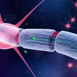 Immagine concettuale di neuroni con guaine mieliniche in rigenerazione, con molecole di agonista TNFR2 che interagiscono con i recettori sulla superficie cellulare. Colori vivaci, effetto di profondità di campo, lente prime 35mm, stile artistico-scientifico ma fotorealistico.