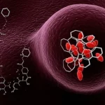 Visualizzazione concettuale fotorealistica dell'acido abietico (struttura molecolare stilizzata) e della doxorubicina (colore rosso caratteristico) che interagiscono sinergicamente con una cellula cancerosa del colon-retto stilizzata, con dettagli molecolari visibili e sfondo scuro per enfasi, obiettivo macro 80mm, illuminazione da studio.