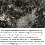 Macro fotografia drammatica di un campione di pegmatite ricca di litio proveniente da una shear zone a Zulu, Zimbabwe. L'immagine mostra il netto contrasto tra una porzione con grandi cristalli magmatici (possibilmente petalite o feldspato) e una porzione adiacente a grana fine, intensamente deformata e ricristallizzata (con possibile spodumene fine e mica allineata), rappresentando l'interfaccia tra diversi eventi o zone di strain. Obiettivo macro 100mm, high detail, precise focusing, controlled lighting per esaltare le diverse tessiture e i minerali.