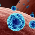 Visualizzazione artistica e fotorealistica di piccole vescicole extracellulari (sEVs) che emergono da una cellula, con un focus nitido sulle sEVs in primo piano e la cellula leggermente sfocata sullo sfondo. Illuminazione drammatica che evidenzia le texture. Obiettivo macro 90mm, alta definizione, profondità di campo.