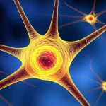 Immagine concettuale di cellule staminali mesenchimali luminescenti che si dirigono verso un'area stilizzata di un cervello neonatale con neuroni danneggiati, simboleggiando la riparazione e la speranza. L'immagine utilizza un obiettivo macro da 90mm per un elevato dettaglio delle cellule e dei neuroni, con illuminazione controllata per evidenziare le cellule staminali e un effetto di profondità di campo. Toni di colore blu freddo per l'ipotermia e oro caldo per l'effetto curativo delle cellule.