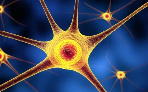 Immagine concettuale di cellule staminali mesenchimali luminescenti che si dirigono verso un'area stilizzata di un cervello neonatale con neuroni danneggiati, simboleggiando la riparazione e la speranza. L'immagine utilizza un obiettivo macro da 90mm per un elevato dettaglio delle cellule e dei neuroni, con illuminazione controllata per evidenziare le cellule staminali e un effetto di profondità di campo. Toni di colore blu freddo per l'ipotermia e oro caldo per l'effetto curativo delle cellule.