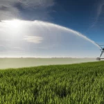 Un sistema di irrigazione a pivot che annaffia un vasto campo agricolo verde sotto un cielo azzurro con qualche nuvola. L'acqua forma un arco brillante nell'aria. Wide-angle, 18mm, sharp focus, long exposure per rendere l'acqua setosa, simboleggiando l'importanza dell'irrigazione su larga scala e la gestione idrica.