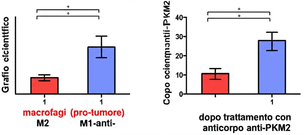 Grafico scientifico che mostra due barre: una alta per i macrofagi M2 (colore rosso, pro-tumore) e una bassa per i macrofagi M1 (colore blu, anti-tumore) in un tumore non trattato. Accanto, un altro grafico con barre invertite dopo trattamento con anticorpo anti-PKM2. Stile grafico pulito, etichette chiare. Obiettivo prime 35mm.