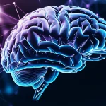 Immagine fotorealistica di un cervello digitale astratto composto da una rete complessa di nodi e connessioni luminose interconnesse, che simboleggia l'intelligenza artificiale e le reti neurali per grafi che apprendono. Profondità di campo, toni blu e viola duotone, obiettivo 35mm, per un look cinematografico e high-tech.