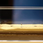 Object, still life, 35mm portrait, depth of field, showing a physical model test setup of a foundation pit inside a clear box, with visible layers of simulated soil and buried sensors, representing the core of the research.