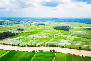 Ampia veduta aerea del Delta del Mekong scattata con obiettivo grandangolare 10mm. Il fiume serpeggia tra lussureggianti risaie verdi e piccoli insediamenti. Luce del sole diffusa attraverso nuvole sottili, messa a fuoco nitida sull'intero paesaggio, mostrando la vastità e la complessità dell'ecosistema fluviale e agricolo.