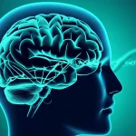 Symbolic image representing the complex genetic basis of obsessive-compulsive disorder, brain silhouette intertwined with DNA helix, depth of field, 35mm portrait lens, blue and green duotones