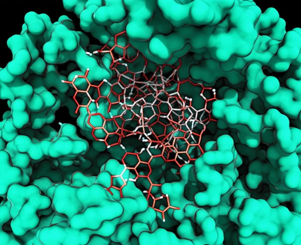 Visualizzazione 3D di una molecola di β-idrossibutirrato (BHB) che interagisce con la proteina HDAC1, con dettagli atomici visibili e un'illuminazione drammatica per enfatizzare l'interazione. High detail, precise focusing, controlled lighting.