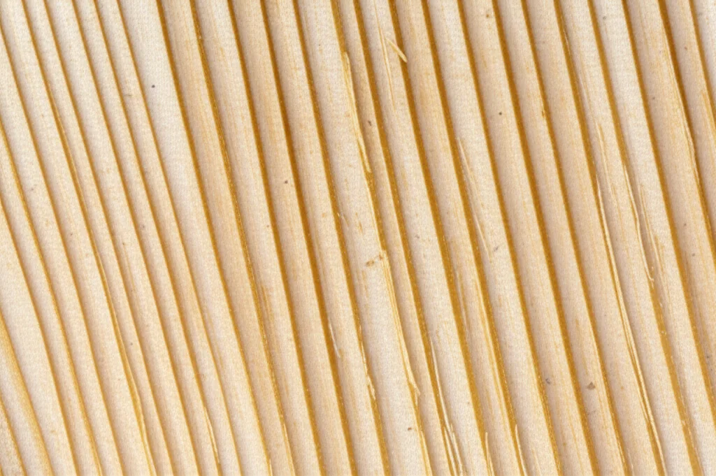 Macro fotografia di una sezione trasversale di legno lamellare incollato, illuminazione controllata per evidenziare gli anelli di crescita e le linee di colla. Obiettivo macro 90mm, alta definizione dei dettagli delle fibre legnose e delle diverse lamelle. Alcune piccole crepe da ritiro sono visibili sulla superficie esposta all'umidità.