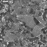 Denoised high angle annular dark field electron microscopy image, macro lens, 100mm, high detail, precise focusing, controlled lighting, showcasing preserved structural features.